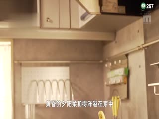 香蕉视频国产片,国产一区二区在线视频